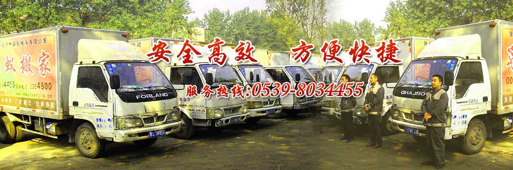 臨沂螞蟻搬家,真螞蟻,官方網(wǎng)站,13145498800