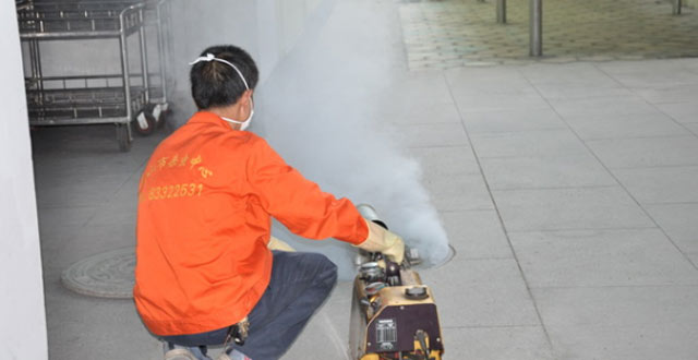 搬家時一定要防止蟑螂進新家