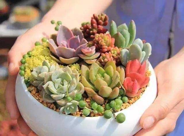 舊碗怎么處理呢！